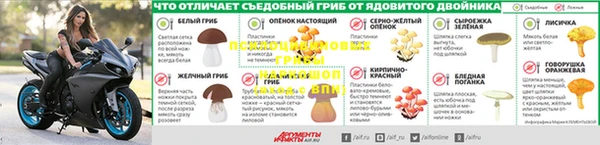 амф Вязьма
