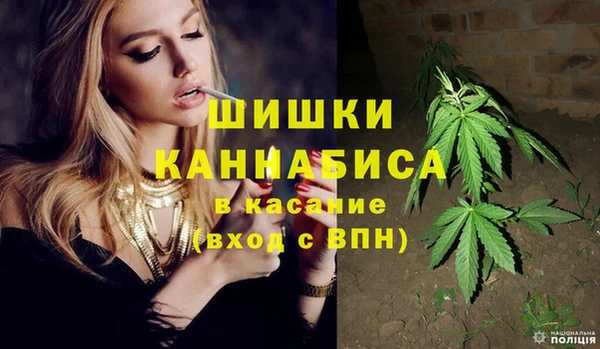 spice Вяземский