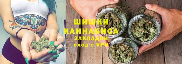 spice Вяземский