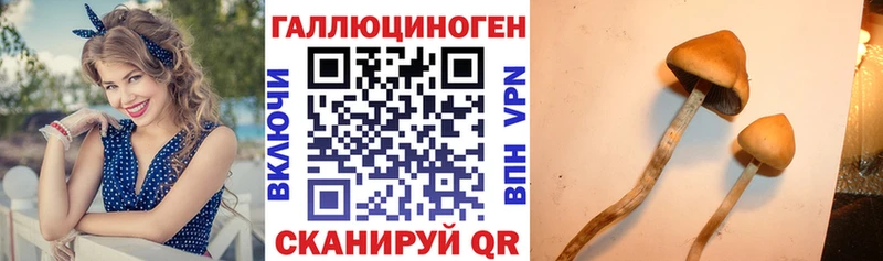 МЕГА зеркало  Ивантеевка  Псилоцибиновые грибы мицелий 